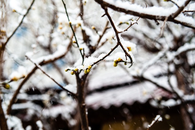 进攻端多点