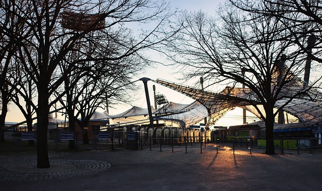 或引入特别 或引入特别