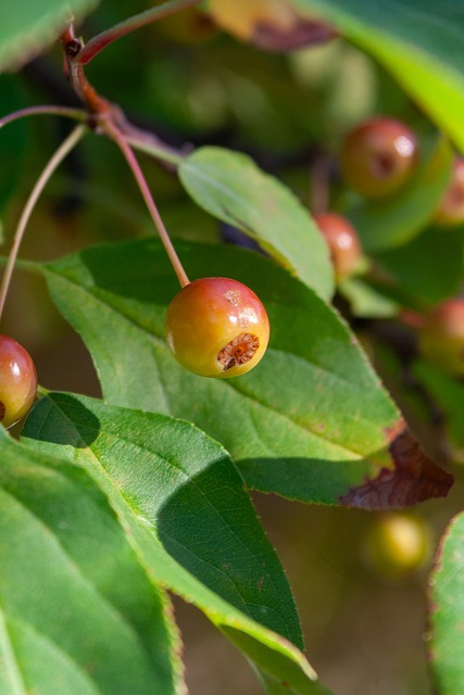 这不仅损害 这不仅损害