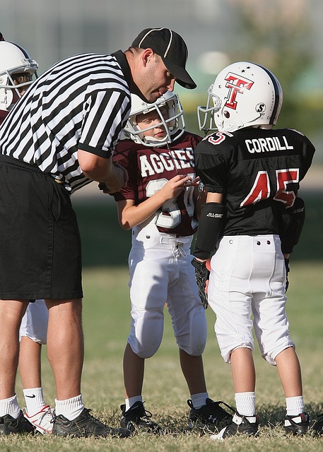 其中不乏具 其中不乏具