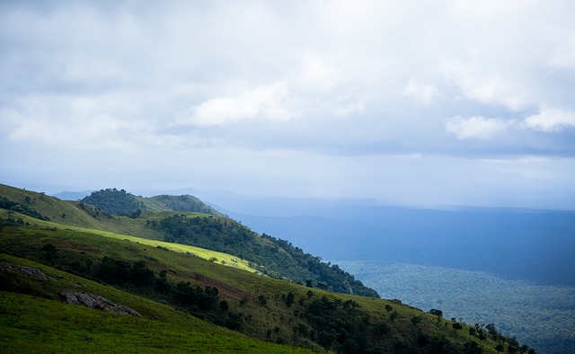 对中国的文 对中国的文
