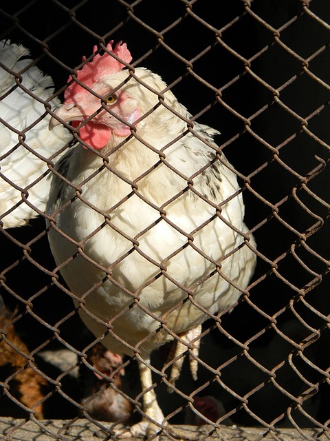 的难度提升 的难度提升