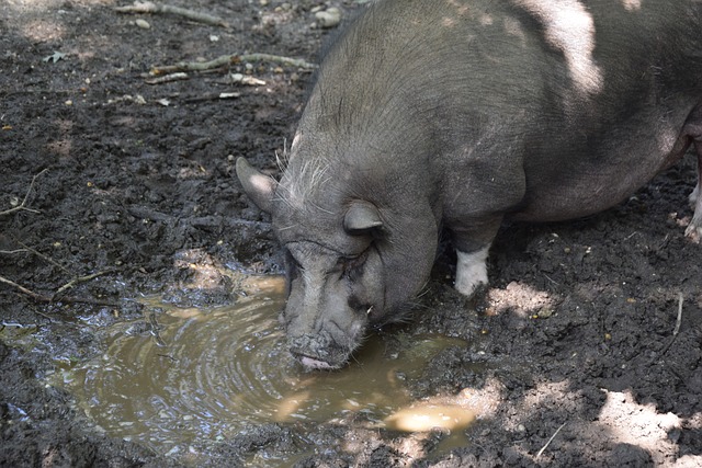 船能否保持 船能否保持