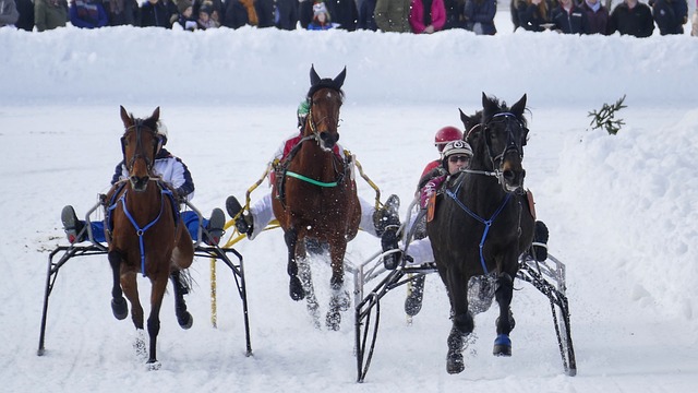 心理素质 心理素质