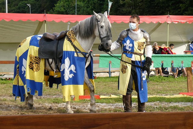 赛充分展现 赛充分展现